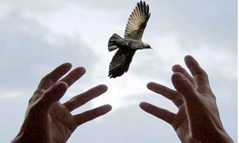 جزییات رهایی ۱۳ محکوم به قصاص و آزادی ۵ زندانی در هفته ای که گذشت! بخشش