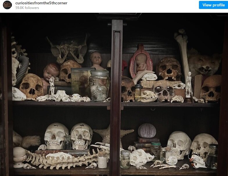 تجارت پرسود خرید و فروش اجزای بدن مردگان | مردی به اتهام خرید از فیسبوک بازداشت شد