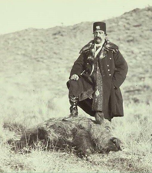 تصاویر | شیوع پدیده گرازخوری در برخی مناطق ایران | یک شکارچی: بعضی رستورانها از ما گوشت گراز میخرند | در باغها و مزارع فقط گراز شکار میکنیم!