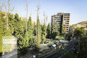 تثبیت ۱۰ پلاک ثبتی پایتخت به عنوان باغ در شورای شهر تهران