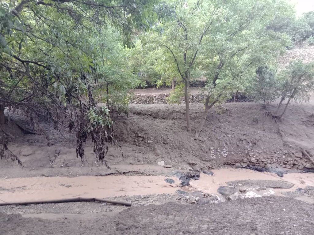 درختان با بار میوه ناپدید شدند | ۳۳۰ میلیارد تومان خسارت سیل به ۶۰ هکتار باغ در غرب پایتخت