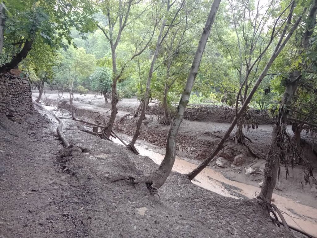 درختان با بار میوه ناپدید شدند | ۳۳۰ میلیارد تومان خسارت سیل به ۶۰ هکتار باغ در غرب پایتخت