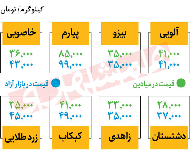 قیمت جدید انواع خرما در میادین | خرمای کبکاب کیلویی ۴۱ هزار تومان