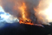 تصویری خیره‌کننده از شفق قطبی بر فراز آتش‌سوزی بزرگ