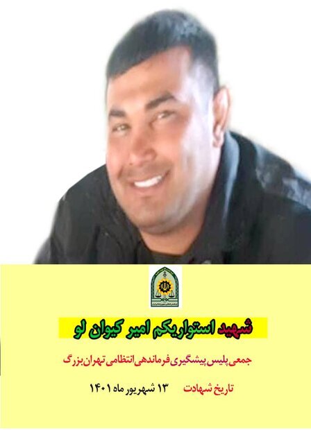 شهادت یک مامور پلیس در تهران توسط سارق منزل | سارق با چاقو به پلیس حملهور شد