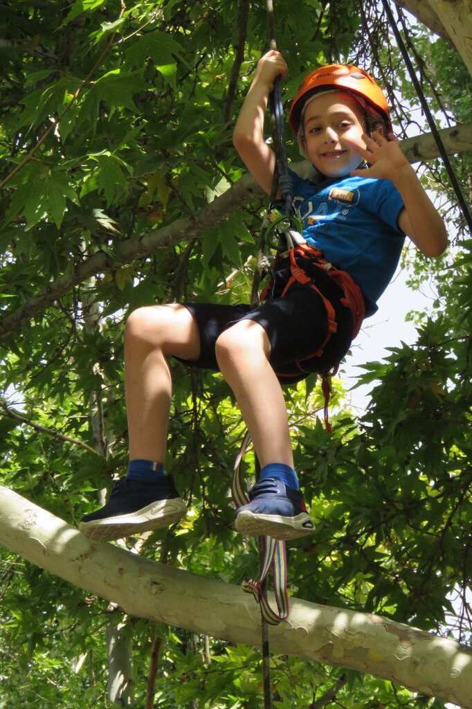 درخت‌نوردی هیجان‌انگیز کودکان پایتخت | مدرن‌ترین ورزش بچه‌های تهران را ببینید 