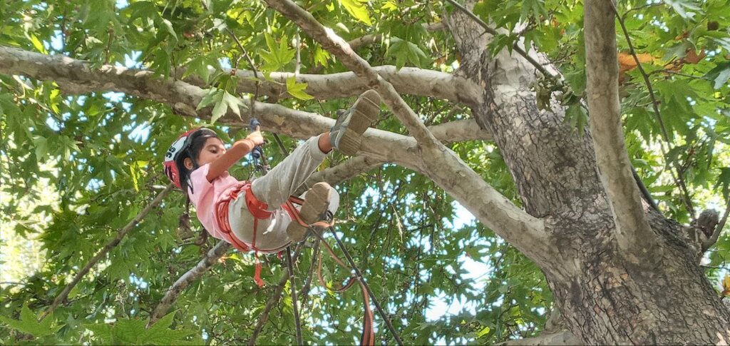درخت‌نوردی هیجان‌انگیز کودکان پایتخت | مدرن‌ترین ورزش بچه‌های تهران را ببینید 