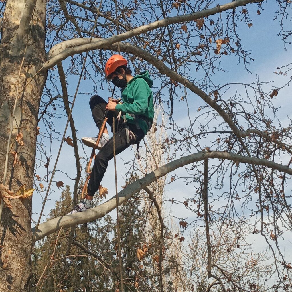 درختنوردی هیجانانگیز کودکان پایتخت | مدرنترین ورزش بچههای تهران را ببینید