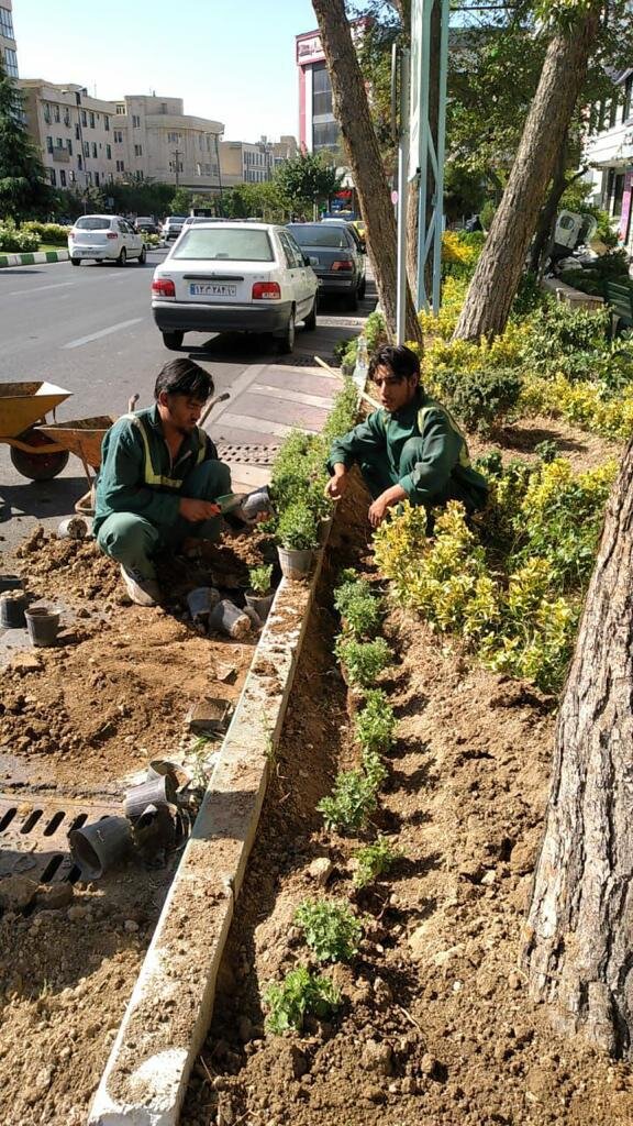 منطقه ۲۱ سبز میشود