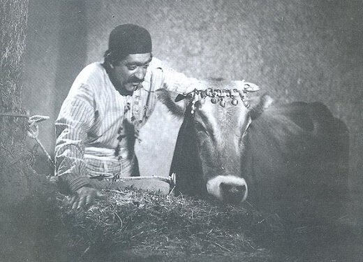 جشنواره ونیز چگونه متولد شد؟ | چشم امید به هومن سیدی با جنگ جهانی سوم و بی رویا |
کارنامه سینمای ایران در این فستیوال