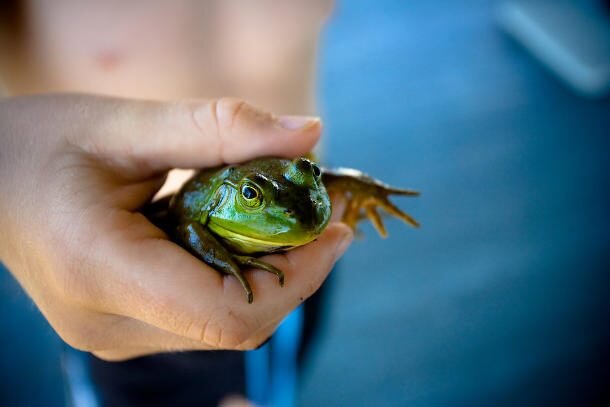 تصاویر | ۵ چیز عجیبی که در شکم مردم پیدا شده است