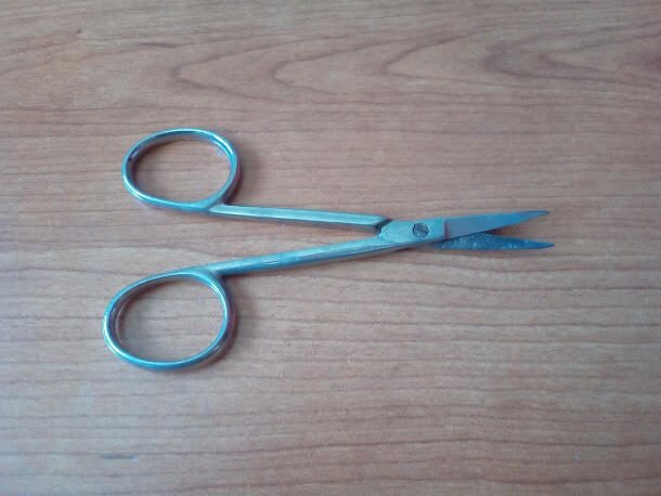 تصاویر | ۵ چیز عجیبی که در شکم مردم پیدا شده است