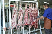 امکان سفارش گوشت از قصابی‌ها برای عید قربان |  قیمت هر کیلو دام زنده در تهران اعلام شد
