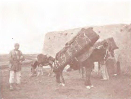 شیوه حمل جنازه در دوره قاجار