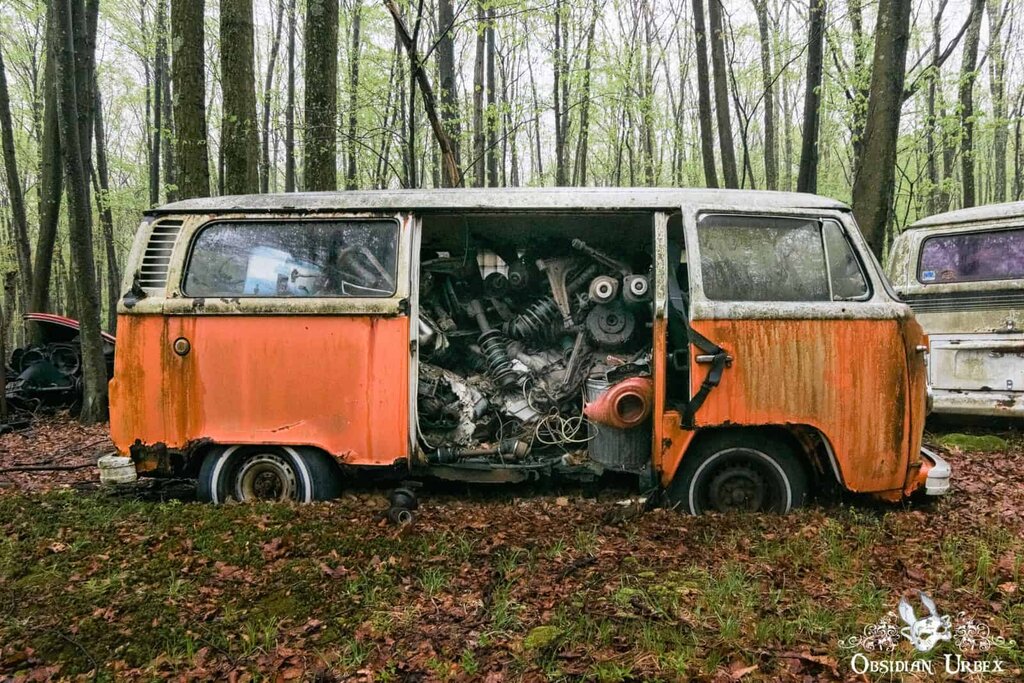 تصاویر گورستانی مخوف در اعماق جنگل | قبرستان جذاب فولکسهای قورباغهای را ببینید