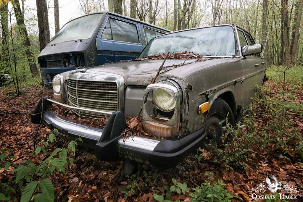 تصاویر گورستانی مخوف در اعماق جنگل | قبرستان جذاب فولکسهای قورباغهای را ببینید