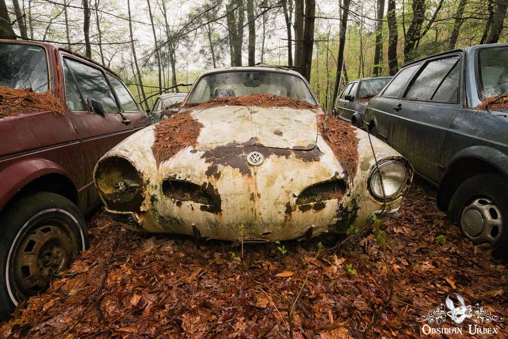 تصاویر گورستانی مخوف در اعماق جنگل | قبرستان جذاب فولکسهای قورباغهای را ببینید