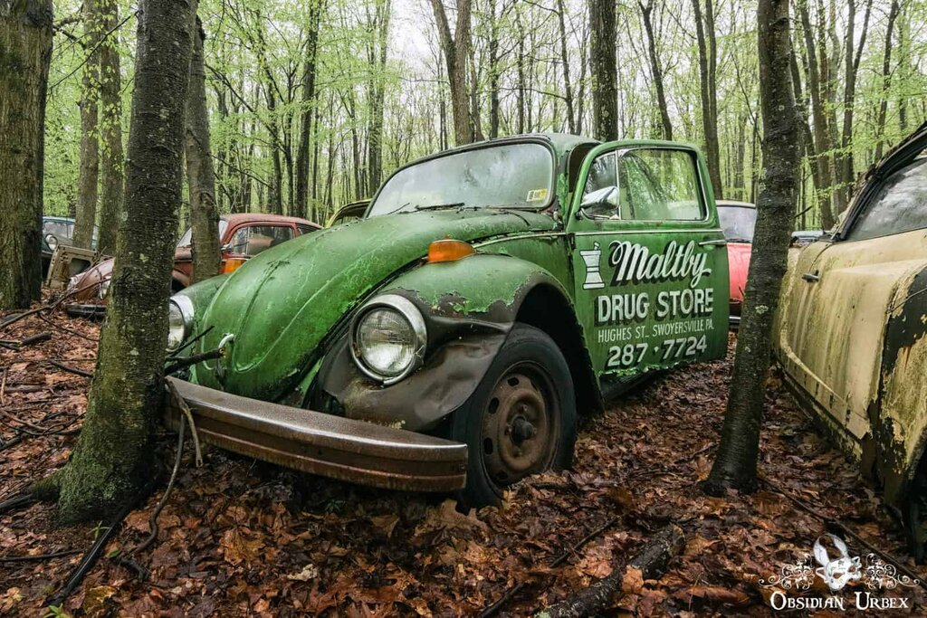 تصاویر گورستانی مخوف در اعماق جنگل | قبرستان جذاب فولکسهای قورباغهای را ببینید