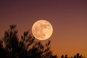 ببینید | تاثیر حیرت‌انگیز گردش ماه بر آب‌های زمین