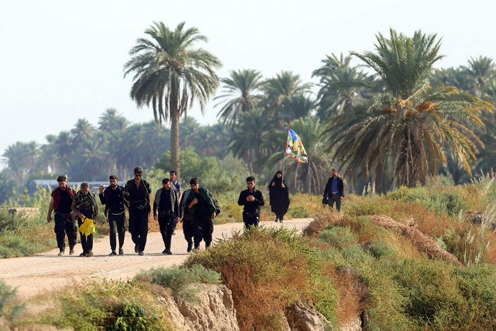 تصاویری از مسیر پیاده روی به سمت کربلای معلی