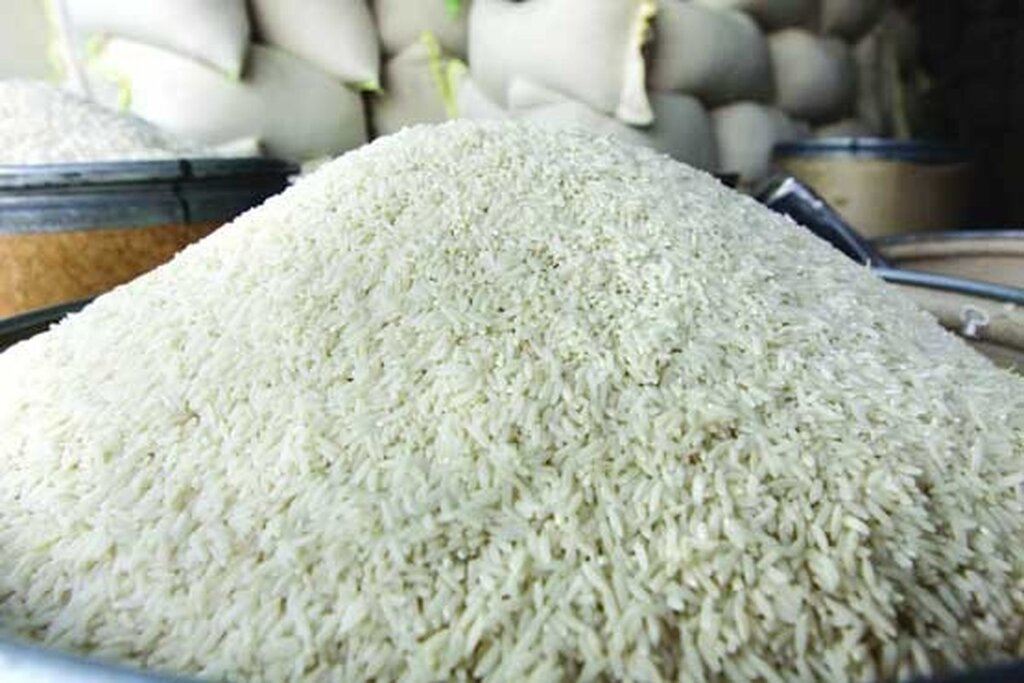 جدیدترین قیمت برنج در بازار | هر کیلو برنج هاشمی چند شد؟