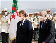 رقابت متحدان اروپایی بر سر گاز الجزایر| الجزایر مقصد امید فرانسوی ها
