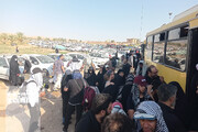 اعزام هواپیما به عراق برای تامین نیازهای غذایی | حرکت اتوبوس به مرزها متوقف شد | زائران اربعین سریعتر برگردند