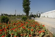 ساخت ۳۵ بوستان جدید در تهران | تملک ۱۷ قطعه زمین در این ۶ منطقه برای فضای سبز جدید