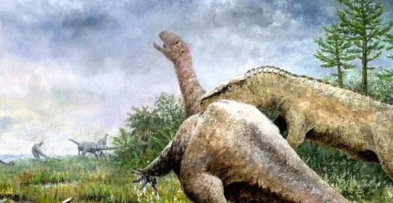 اتفاقی عجیب در آلمان | شناسایی هویت یک دایناسور مرموز پس از ۱۰۰ سال!