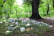 جمع آوری دو کامیون زباله از یک پارک در زنجان | زباله‌ها باعث خشکیدن درختان و جوی آب شدند