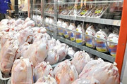 آغاز توزیع مرغ منجمد در بازار | نرخ مصوب هرکیلو مرغ زنده و گرم اعلام شد