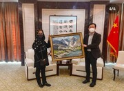 عکس | دیدار سفیر چین با خانم هنرمند ایرانی