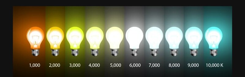 یک روش ساده و ارزان برای تامین نور گیاهان آپارتمانی | چراغ رشد گیاه چه ویژگیهایی دارد؟