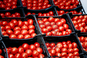 غارت محموله وارداتی گوجه فرنگی ایران در پاکستان | معترضان جعبه‌های گوجه‌فرنگی را به روی زمین پرتاب کردند