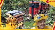 زنبورها از مرگ ملکه مطلع شدند! | نگرانی باکینگهام از خشک شدن عسل زنبورها! |  به زنبورها اطلاع دادند چارلز سوم اکنون شاه است