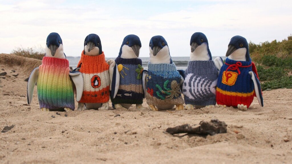 پنگوئن هاي ژاكت پوش