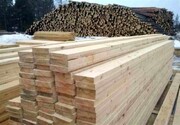 ببینید | تمسخر زمستان سخت اروپا توسط لوکاشنکو: چوب صنوبر انتخاب می‌کنید یا توس؟!