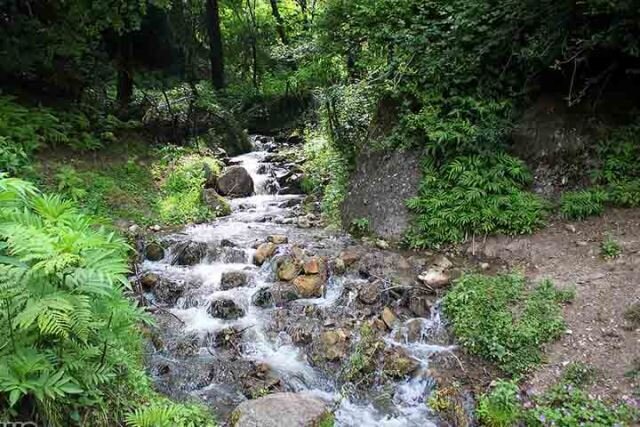 روستایی زیبا و بکر در شمال که هرچه زودتر باید آن را ببینید