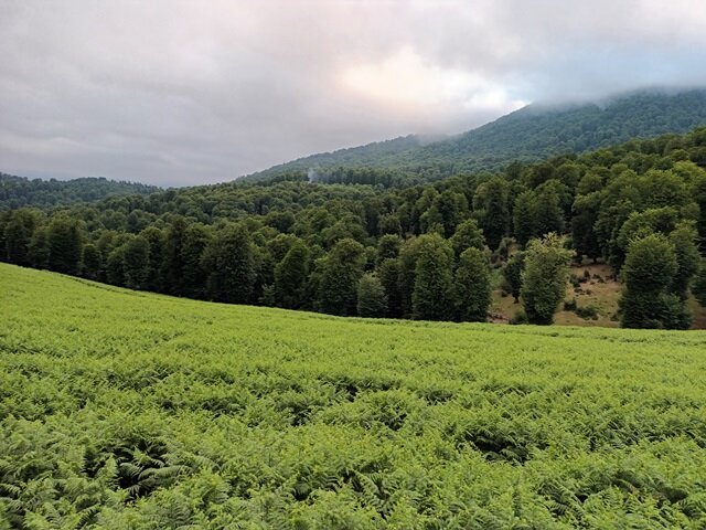 روستایی زیبا و بکر در شمال که هرچه زودتر باید آن را ببینید