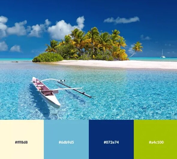 تصاویر | رنگ هایی که ترکیب آنها خانهتان را زیبا میکند | پالت های رنگی الهام گرفته از طبیعت