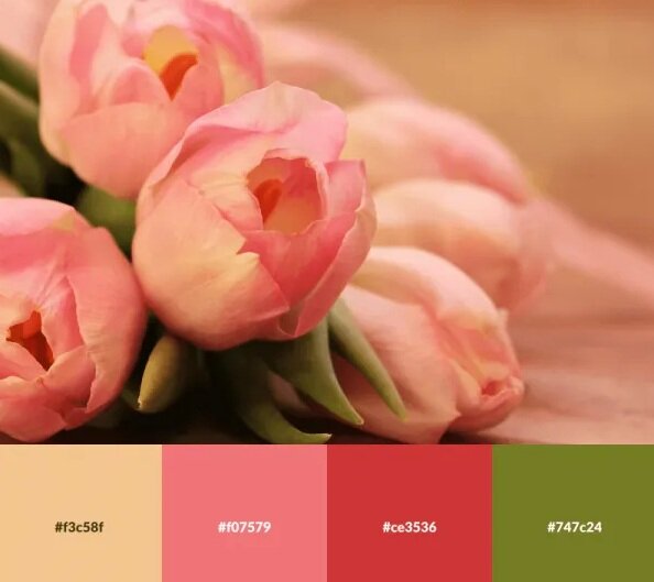 تصاویر | رنگ هایی که ترکیب آنها خانهتان را زیبا میکند | پالت های رنگی الهام گرفته از طبیعت