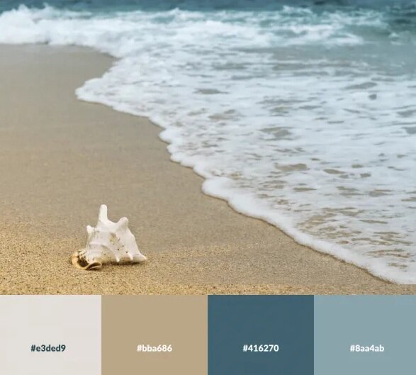 تصاویر | رنگ هایی که ترکیب آنها خانهتان را زیبا میکند | پالت های رنگی الهام گرفته از طبیعت