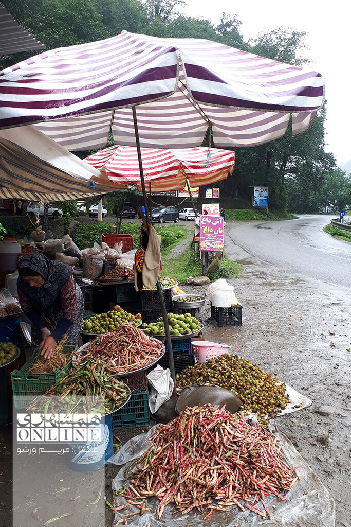 ببینید | اشکورات ؛ زیباترین منطقه ییلاقی گیلان | لوکیشن سریال بچههای مدرسه همت اینجاست | سفر به پایتخت گل گاوزبان ایران