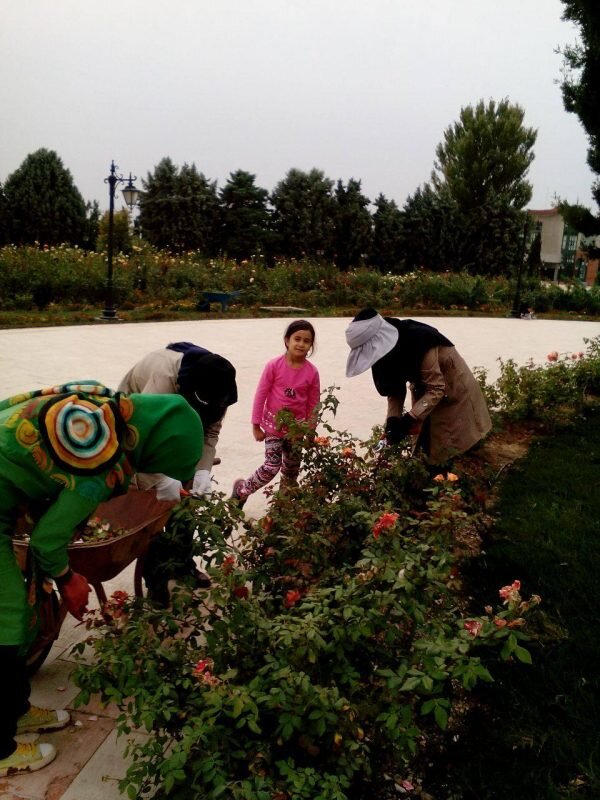 همیار باغ گیاهشناسی ملی ایران شوید