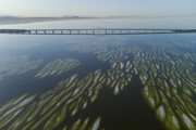 تصاویر | مرگ دریاچه ارومیه را از آسمان ببینید | دریاچه ارومیه سال آینده خشک می‌شود