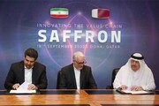 بزرگترین قرارداد تجاری زعفران جهان میان ایران و قطر به امضا رسید | اولین محموله زعفران چه زمانی ارسال خواهد شد؟
