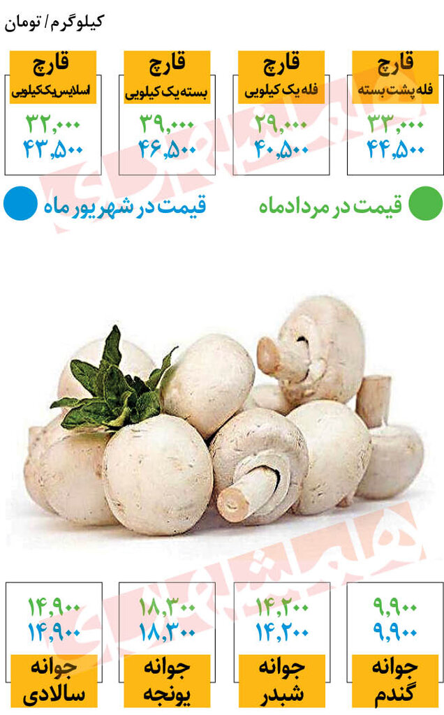 جدیدترین قیمت قارچ در میادین | یک کیلو قارچ چند شد؟