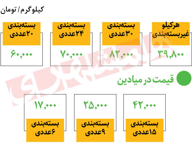 جدبدترین قیمت تخم مرغ در بازار | یک شانه تخم مرغ چند؟