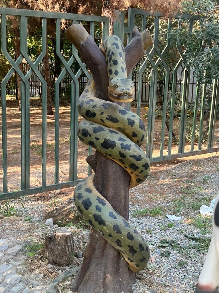 تصاویر | دهکده حیوانات | سکونتگاه کروکودیل، خروس و گاومیش را در غرب پایتخت ببینید