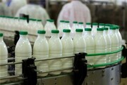 جدیدترین قیمت شیر پاستوریزه در بازار |  یک لیتر شیر پرچرب چند؟